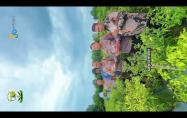 Embedded thumbnail for Panen raya cabai program ketahanan pangan desa belo laut